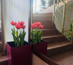 2-местная комната комфорт в Усадьба Еловое