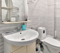 Трехместный эконом в Черномор