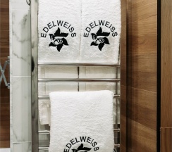 2-местный стандарт в Edelweiss Grozny Hotel