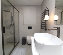 Слива 105 в Neoroom Service