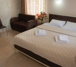 Стандарт Плюс (двухместный номер с одной двуспальной кроватью + доп.место) в Заречье