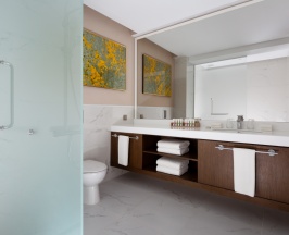 Двухместный номер Deluxe с балконом двуспальная кровать в Swissotel Wellness Resort Alatau Almaty