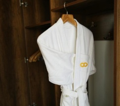 Двухместный номер Standard двуспальная кровать в Altai Business Hotel