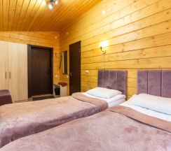 5. Стандартный номер с двуспальной кроватью или двумя односпальными в Усадьба Маанселька