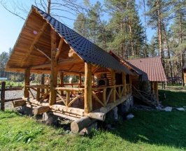 ДОМ БЕРЕНДЕЯ в Деревня Берендеевка
