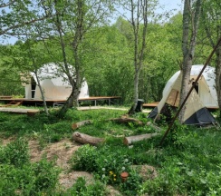 Стандарт в Shambala