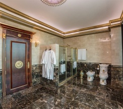 Президентский Люкс в Artis plaza hotel