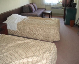 Номер Standard в Hotel Weisser Hof Happei