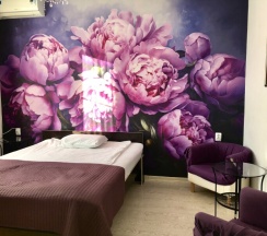 Двухместный номер "Deluxe" в В Коломне