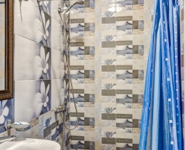 Комфорт двухместный в Nairi