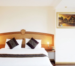 Номер Superior в NH Elegant Hotel