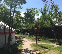 Тент в Turkestan Yurt Camp
