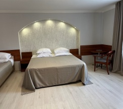 Полулюкс DOUBLE в Грин парк