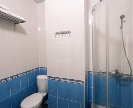 2-местный номер стандарт с 2 односпальными кроватями в Поветлужье