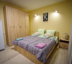 Двухместный номер Superior рядом с пляжем двуспальная кровать в Пятницкий плёс