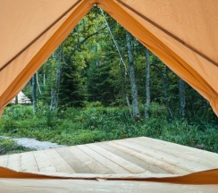 Смородиновая поляна в Котопельто