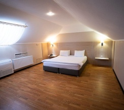 Номер делюкс (мансарда) в Art villa
