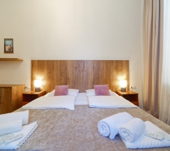 Двухместный номер с двуспальной или двумя односпальными кроватями в Светлый у Эрмитажа