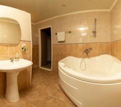 Номер люкс с 1 двуспальной кроватью в Москва