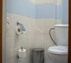 Twin (двухместный с двумя кроватями) в Улитка