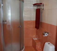 Номер стандарт с 1 двуспальной кроватью в Ломовка