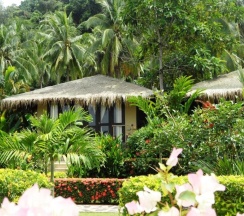 Бунгало Superior в Amber Sands Beach Resort