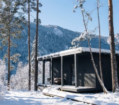 Вилла с панорамными окнами в Pinewood resort&SPA