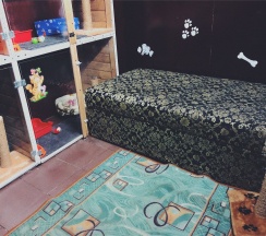 Комната для домашних животных в Сак