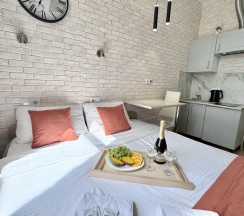 Комфорт мини в Metro apartments