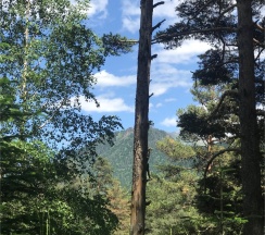 Шале 3. Четырехместный номер комфорт с видом на горы в Белый волк