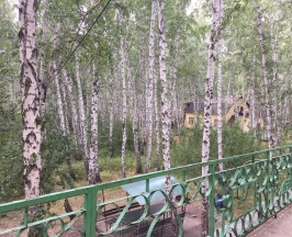 4-местный номер стандарт в Kurochkino