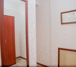 Стандартный двухместный номер в Пингвин