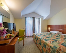 Двухместный номер Standard с балконом двуспальная кровать в Viking Park Hotel