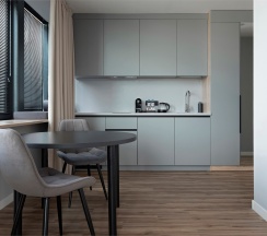 Сьют с кухней в 25/7 Заневский