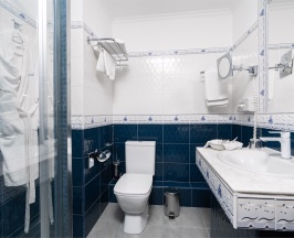 Делюкс с видом на Волгу в Александровский сад