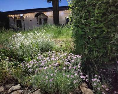 Венев: Гостевой дом Берлога