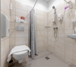 Стандарт в Station Premier V18