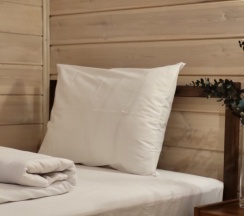 Дом в Дуплекс-дом в Дракино