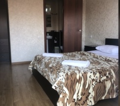 2-х местный Стандарт с двуспальной кроватью в Сальма