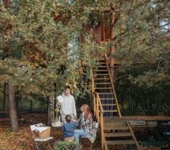 Домик на дереве "Сосновый" в Дом на дереве