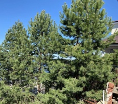 Коттедж с балконом и с красивым видом из окна в Дом на Волге