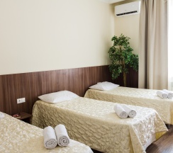 Трехместный стандарт в Аристоль