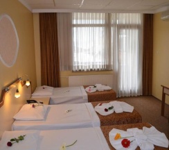 Одноместный номер Standard односпальная кровать в Ayvalik Palas Hotel
