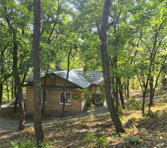 СТАНДАРТ УЛУЧШЕННЫЙ в Хвалынский Парк-Отель & SPA