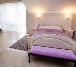 Двухместный номер Comfort с балконом двуспальная кровать в Серый кот