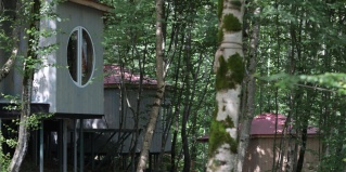 Лесное: Глэмпинг Permapark