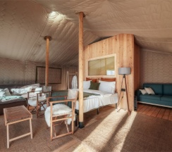 Сафари в Дзен