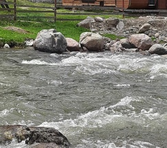 Коттедж в Пилигрим