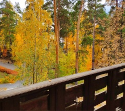 Номер "Джуниор Сюит" в Золотой пляж