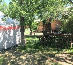 Четырёхместный номер Standard в Turkestan Yurt Camp
